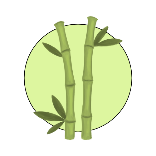 Bamboo Self-Care Essentials – Eco-Friendly Bath & Beauty Tools